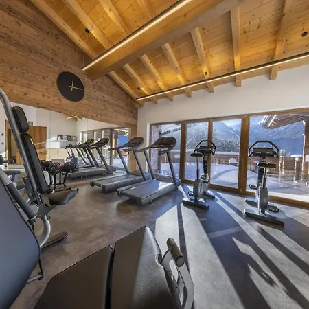 Chalet In Neukirchen Near Ski Arena Wildkogel *